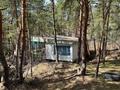 Б/о Солнечный · 4000 м², бағасы: 200 млн ₸ в Новой бухтарме — фото 8