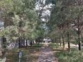 Отдельный дом · 8 комнат · 550 м² · 100 сот., Ломоносова 49А за ~ 415 млн ₸ в Есик — фото 55