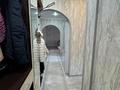 3-комнатная квартира · 58.5 м² · 2/5 этаж, Каныша Сатпаева 111 за 46 млн ₸ в Алматы, Бостандыкский р-н — фото 16
