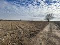 Участок · 3.75 га, Участок 1445 за 20 млн ₸ в Жанаарне