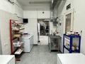 Свободное назначение, магазины и бутики, склады, общепит · 56 м² за 13 млн ₸ в Астане, Алматы р-н — фото 20