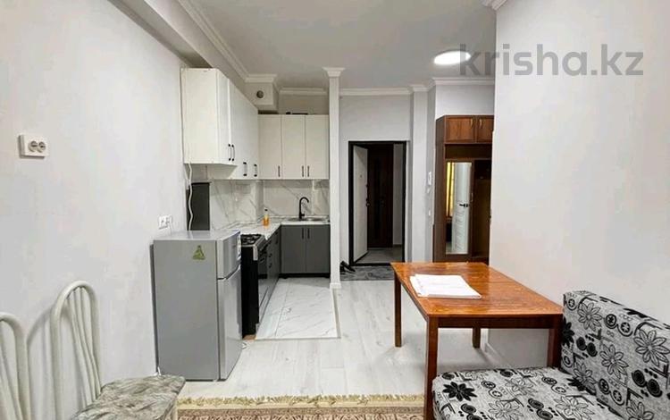 2-комнатная квартира · 33 м² · 1/3 этаж, Устирт 2936а/1 за 21.5 млн ₸ в Иргели — фото 2