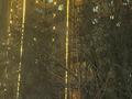 1-бөлмелі пәтер · 43 м² · 11/12 қабат, Тамерлановское шоссе 1А — Ул.Желтоксан, бағасы: 16.3 млн ₸ в Шымкенте, Туран р-н — фото 13