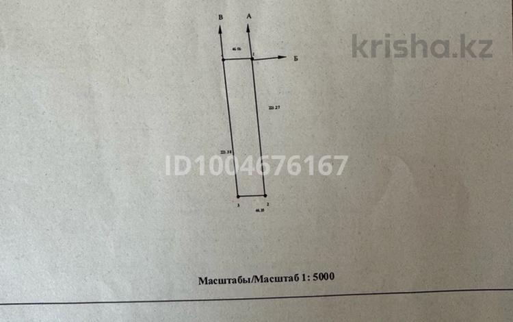 Жер телімі · 1 га, Елтаский со с Исаев, бағасы: 27 млн 〒 в Каскелене — фото 3