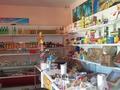 Магазины и бутики • 40 м² за 13.5 млн 〒 в Шымкенте, Аль-Фарабийский р-н — фото 3