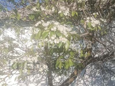 Жеке үй · 4 бөлме · 68.4 м² · 8 жүзд., Умбеталы 48 — Кастеева, бағасы: 29 млн ₸ в Каскелене