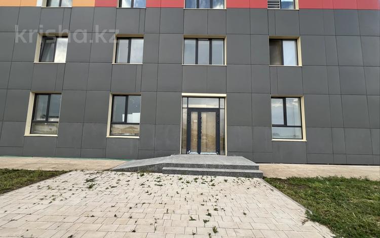 Еркін · 157 м², бағасы: 750 000 ₸ в Астане — фото 2