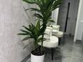 Кабинеты и рабочие места, студии · 7 м² за 150 000 ₸ в Алматы, Ауэзовский р-н — фото 3