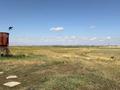 Жер телімі · 31 га, Огороды -, бағасы: 25 млн ₸ в Степногорске — фото 3
