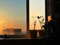 2-комнатная квартира · 67 м² · 15/16 этаж, Райымбека 210 за 67.5 млн ₸ в Алматы, Алмалинский р-н — фото 17