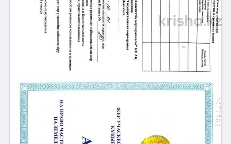 Жер телімі · 11 га, Таскешу, бағасы: 50 млн ₸ — фото 2