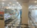 Магазины и бутики • 960 м² за ~ 1.4 млн 〒 в Темиртау — фото 11
