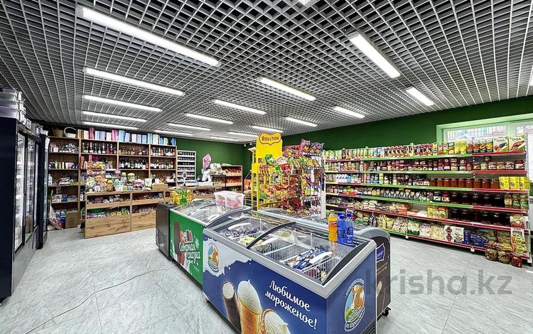 Дүкендер мен бутиктер, қоғамдық тамақтану орны · 125 м², бағасы: ~ 120 млн ₸ в Астане, Сарайшык р-н — фото 9