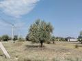 Участок · 10 соток, Торайгырова за 2.5 млн ₸ в Нура — фото 3