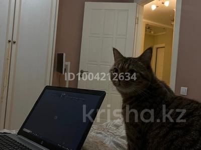 Жалға аламын: Всем здравствуйте) ищу комнату или…, Алматы Всем здравствуйте) ищу комнату или…, Алматы