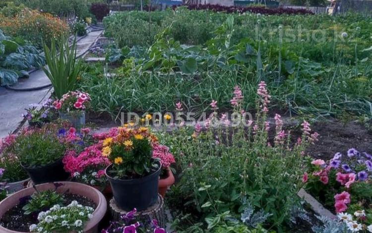 Дача · 4 комнаты · 40 м² · 6 сот., мкр Юго-Восток — Дача за 3.2 млн 〒 в Караганде, Казыбек би р-н — фото 5