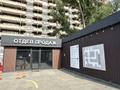 Паркинг · 1600 м² · мкр Самал-3, Кажымукана 4/2 — Ул. Кажымукана - пр. Достык за 3 млн ₸ в Алматы, Медеуский р-н — фото 7