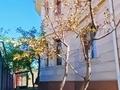 Отдельный дом · 8 комнат · 470 м² · 10 сот., Наурыз за 190 млн ₸ в Кыргауылдах — фото 3