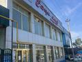Еркін · 500 м², бағасы: 50 млн ₸ в Шардара — фото 2