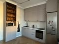 2-комнатная квартира · 47 м² · 11/24 этаж, Кабанбай батыра 38/2 — Сыганак за 350 000 ₸ в Астане, Есильский р-н