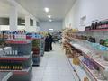 Магазины и бутики · 500 м² за 150 млн 〒 в Сарыагаш — фото 19