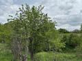 Дача · 1 комната · 10 м² · 26 сот., 3-я линия — Дачи кокжиек за 5.5 млн ₸ в Шамалгане — фото 14