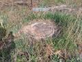 Жер телімі 10 сотық, Балуан Шолак — Абая, бағасы: 10 млн 〒 в Косшы — фото 3
