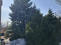 Отдельный дом · 6 комнат · 200 м² · 6 сот., Туякбаева (Садовая) 52 — 8 марта за 85 млн ₸ в Талгаре — фото 2