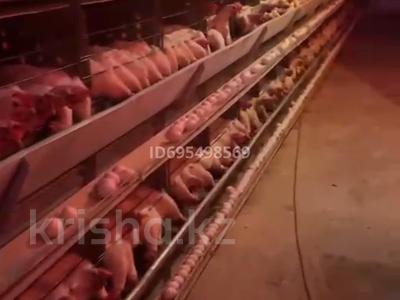 Склады, сельское хозяйство · 30000 м² за 250 млн 〒 в Шымкенте, Абайский р-н