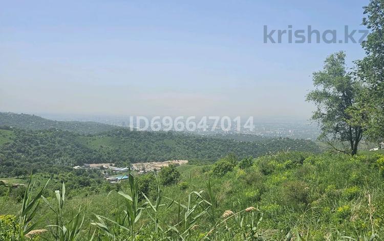 Участок · 12 соток, Родники 796 за 6 млн 〒 в Алматы, Медеуский р-н — фото 9