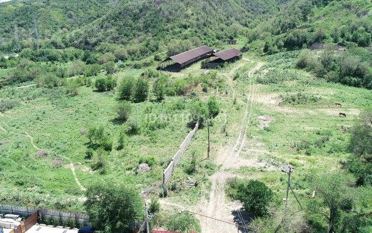 Участок · 600 соток, Белбулак 1 за 230 млн ₸ в Бельбулаке (Мичурино) — фото 2