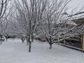 Жеке үй · 7 бөлме · 163 м² · 8 жүзд., Жылысай, бағасы: 35 млн ₸ в Шымкенте, Туран р-н — фото 9