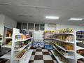 Магазины и бутики • 160 м² за 150 млн 〒 в Алматы, Наурызбайский р-н — фото 13