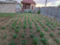 Жеке үй · 3 бөлме · 93 м² · 7 жүзд., 20 Южный переулок 21, бағасы: 20 млн ₸ в Экибастузе — фото 15