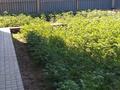 Отдельный дом · 6 комнат · 200 м² · 10 сот., Тулебаева 4 — Республики за 38 млн ₸ в Темиртау — фото 9