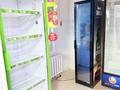 Магазины и бутики · 42.2 м² за 12 млн ₸ в Кокшетау — фото 5