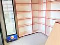 Магазины и бутики · 42.2 м² за 12 млн ₸ в Кокшетау — фото 6