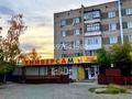 Еркін · 150 м², бағасы: ~ 60 млн ₸ в Бурабае