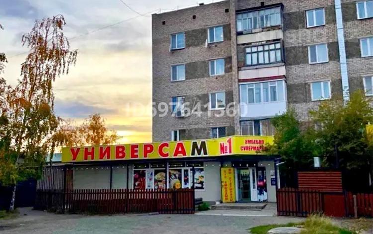 Еркін · 150 м², бағасы: ~ 60 млн ₸ в Бурабае — фото 2