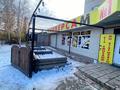 Еркін · 150 м², бағасы: ~ 60 млн ₸ в Бурабае — фото 2