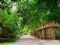 2-бөлмелі пәтер · 107.4 м² · 6/20 қабат, Ахмет Байтурсынулы 1, бағасы: 71 млн ₸ в Астане, Алматы р-н — фото 48