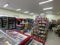 Магазины и бутики, склады · 1000 м² за 350 млн ₸ в Кызылтобе — фото 17