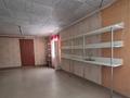 Отдельный дом · 5 комнат · 128.2 м² · 10 сот., СТ Черемушки за 45 млн ₸ в Усть-Каменогорске — фото 84