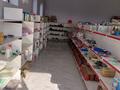 Магазины и бутики, общепит, салоны красоты · 180 м² за 120 млн ₸ в Шымкенте, Абайский р-н — фото 10
