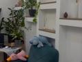 2-комнатная квартира · 38 м² · 12/12 этаж, Сатпаева 90 — Туркебаева за 39 млн 〒 в Алматы, Бостандыкский р-н