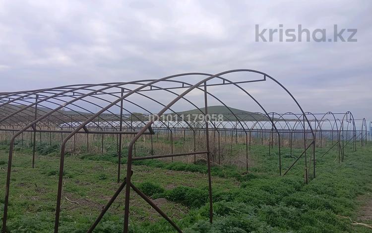 Сельское хозяйство · 20000 м² за 25 млн 〒 в Узынагаш — фото 2