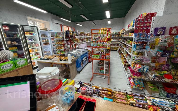 Магазин с ежедневной выручкой 800 тысяч · 100 м² за 35 млн ₸ в Астане, Нура р-н — фото 2