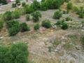 Участок · 20 соток, Акбастау 114 за 30 млн ₸ в Талдыкоргане, Каратал — фото 3