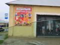 Участок · 8 соток, С.АЛИБЕКОВА 282 — КАЙТПАС 1 СУТТИБАЙ АЛИБЕКОВ за 25 млн ₸ в Шымкенте, Аль-Фарабийский р-н — фото 18