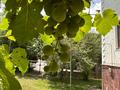 Отдельный дом · 15 комнат · 512.2 м² · 10 сот., Афцинао 26 — Шаляпина Яссауи за 245 млн ₸ в Алматы, Наурызбайский р-н — фото 58